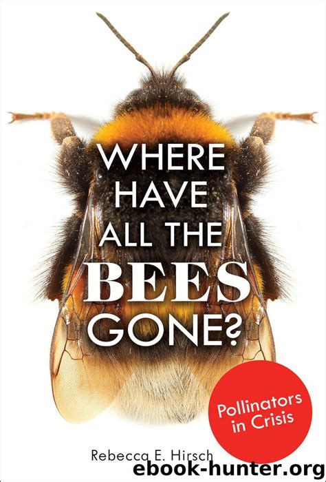 Where have all the bees gone?